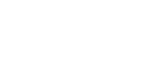 VIRAJ VSPL Group